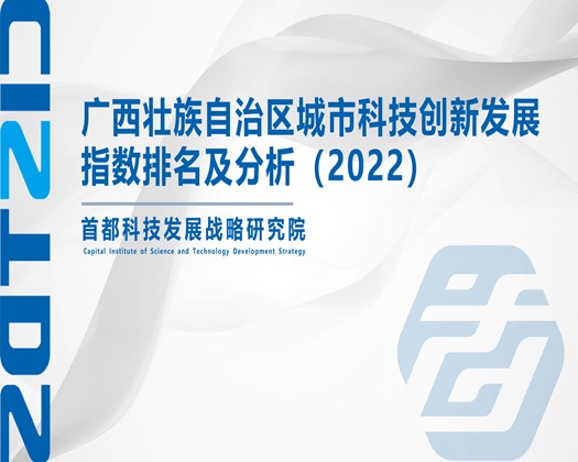 插母逼视频对白【成果发布】广西壮族自治区城市科技创新发展指数排名及分析（2022）